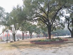 -苏州上方山国家森林公园