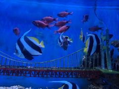 -太平洋海底世界