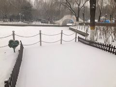 -康庄公园