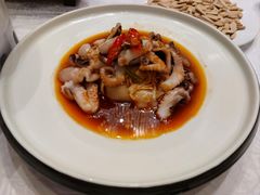 捞拌八爪鱼-花家怡园