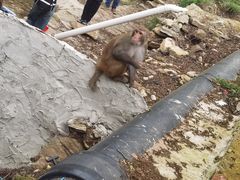 -木兰云雾山