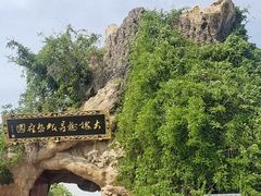 -大槐树寻根祭祖园