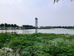 -白洋淀景区