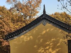-灵谷景区