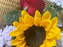 -东方红海鲜百汇(国际大厦店)