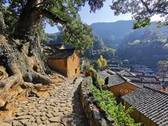 -杨家堂村