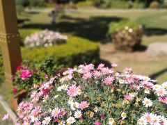 -西昌邛海宾馆