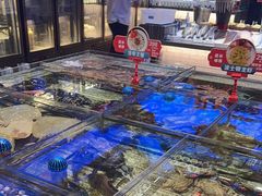 -鑫复盛皇嘉海鲜酒店
