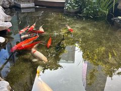 -道南書院·私房菜·早午茶·茶馆