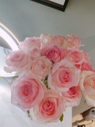 -花隐·美芙炫海菲秀皮肤管理中心