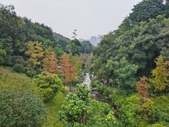 -云溪植物园