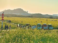 -光明小镇欢乐田园