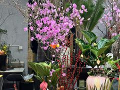 -双季花艺园艺市场(浦东店)