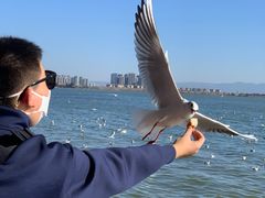 -滇池海埂公园