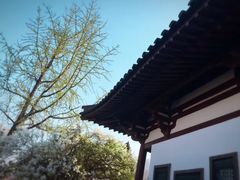 -西安青龙寺遗址景区