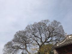 -海神庙