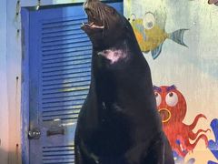 -太平洋海底世界