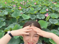 -前关湿地公园