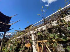 -呀路古热带植物园
