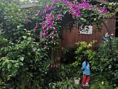 -山间农家