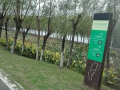 -艾溪湖湿地公园