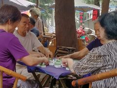-十一街苍蝇馆子转经消江湖菜(九眼桥十一街店)