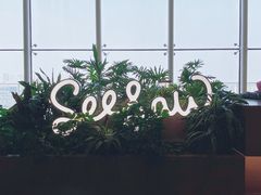 -Seesaw Coffee(朝阳大悦城店)