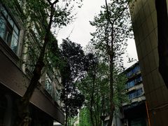 -院8里·少城记忆老川菜(宽窄巷子店)