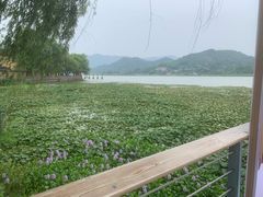 -鸣鹤古镇