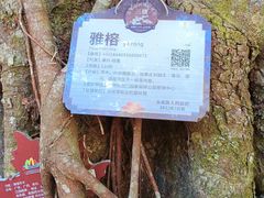 -广州市石门国家森林公园