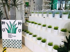 -合景·悠方(成都店)