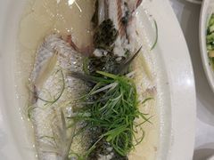 -稻香酒家·35年老字号(侨光店)