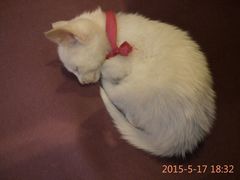 -汇佳桌游剧本咖啡馆(万体馆旗舰店)