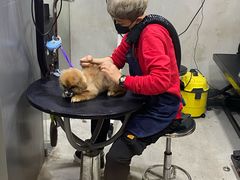 -PETKIT小佩宠物(昭化店)