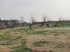 -两河城市森林公园