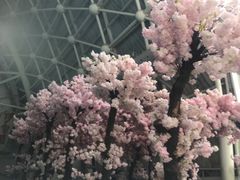 -天山海世界·米立方