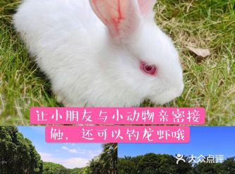 六一遛娃，让小朋友与小动物来一次亲密接触吧，还可以钓龙虾哦