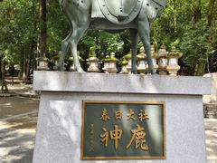 -奈良公园
