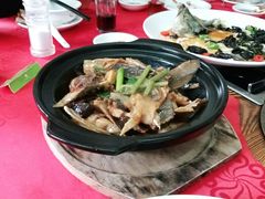-顺德美食坊(南沙分店)