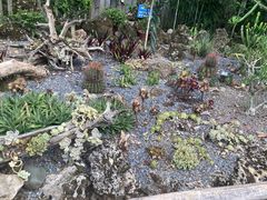 -中国科学院西双版纳热带植物园