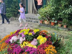 -慢丽江·云南野生菌土鸡锅(西山店)