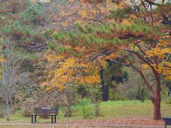 -国家植物园南园