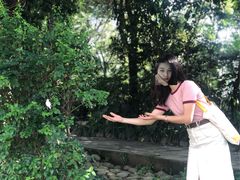 -成都市活水公园