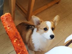 -嘉里饭庄