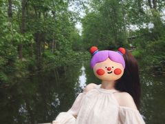 -合肥滨湖国家森林公园