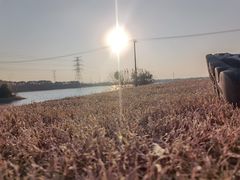 -漕湖湿地公园