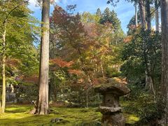 -三千院