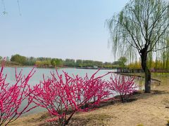 -东郊湿地公园