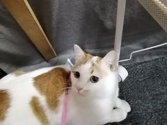 教室环境-八哥美术·成人美术画室(总校区)