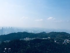 -大金鹰园